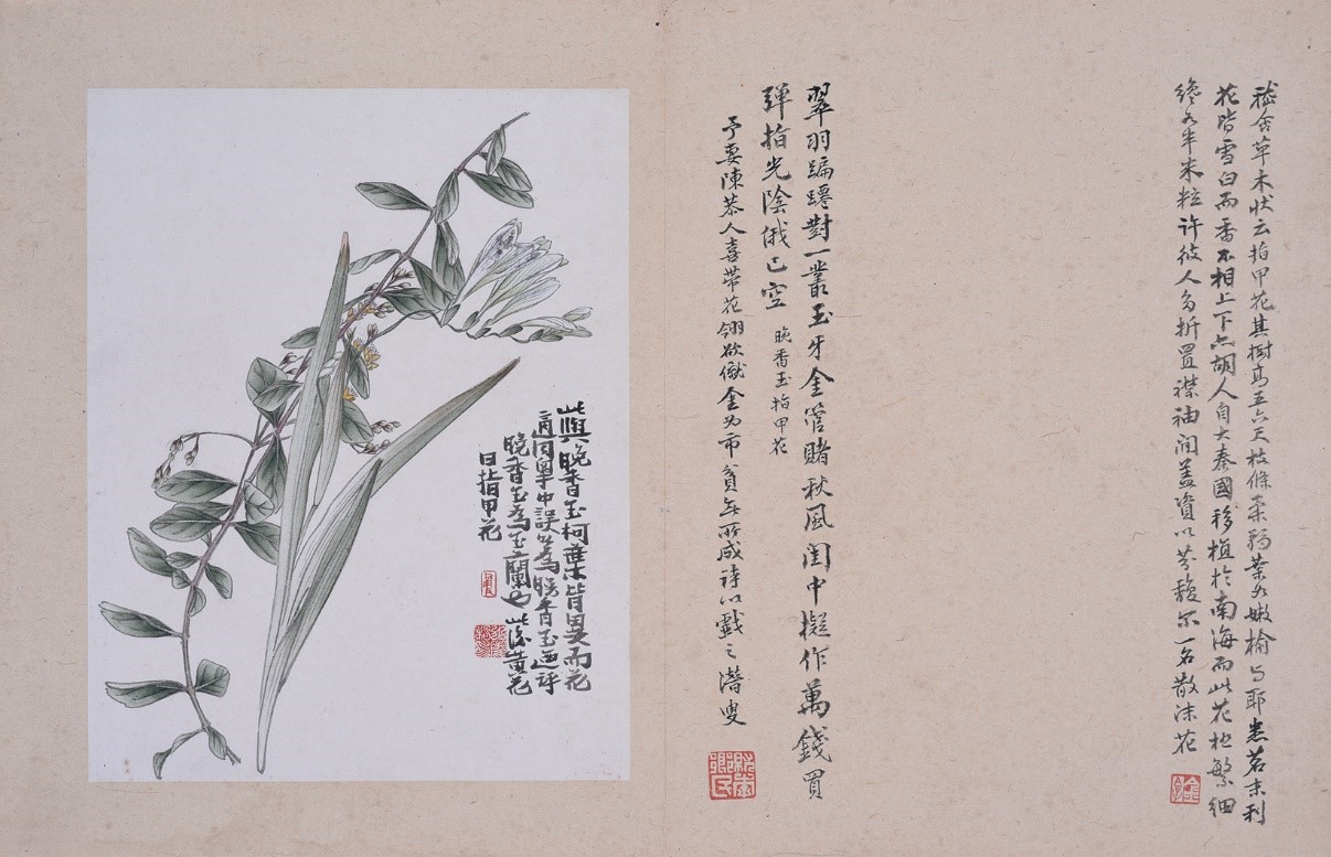 <h2>粤中花木图册之一</h2><p>作者：黄士陵</p><p>创作年代：清</p><p>规格：26.9cm×21.4cm</p><p>品类：纸本设色</p>